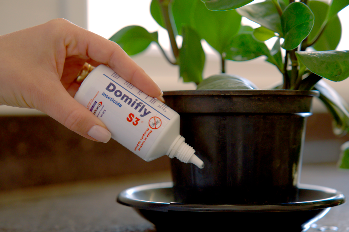 Demonstração Domifly S3